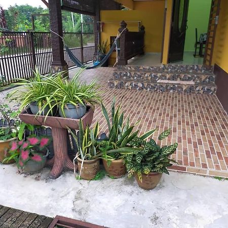 Rumah Tumpangan Di Kuala Terengganu, Terengganu Homestay D المظهر الخارجي الصورة